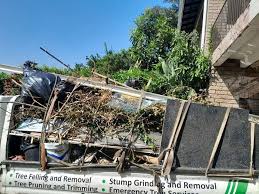 Best Yard Waste Removal  in Jackson, TN